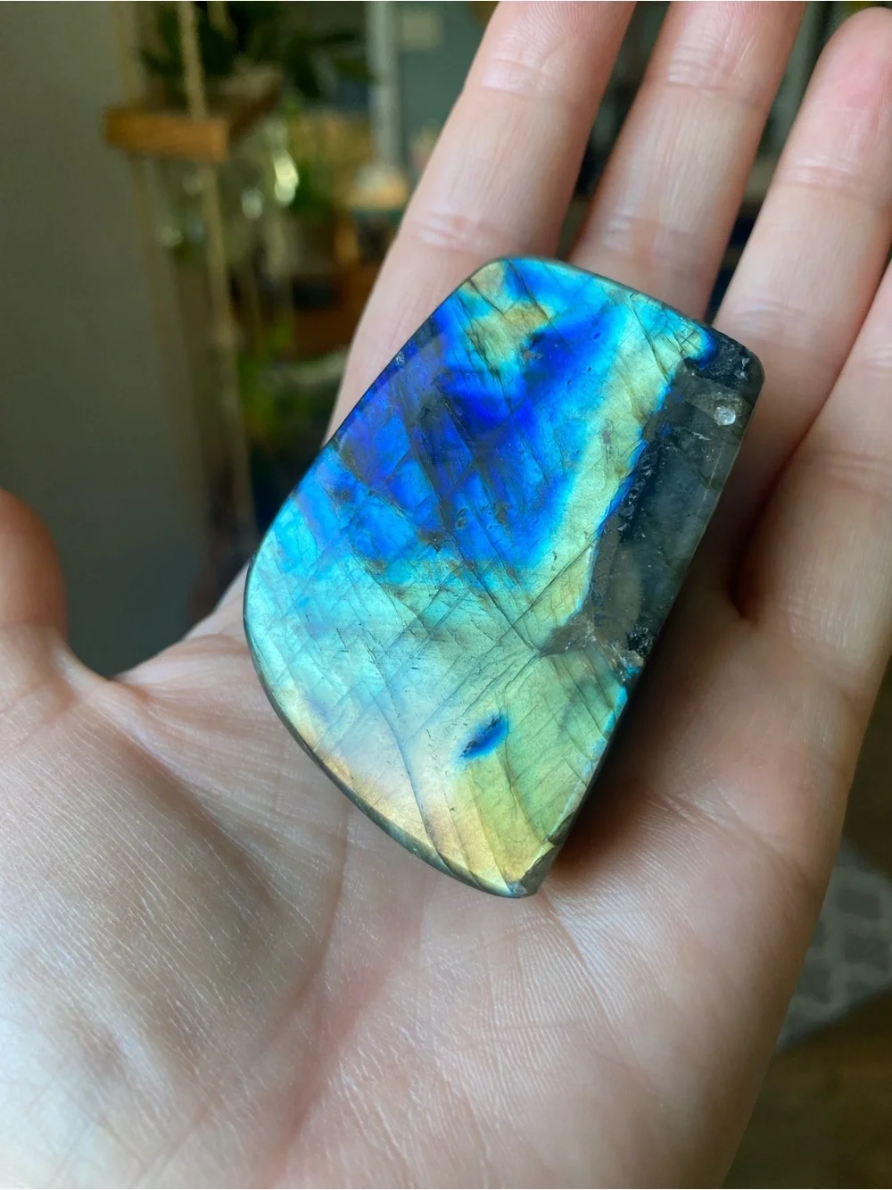 ✨ Double-Sided Blue & Gold Flash Labradorite Freeform ✨